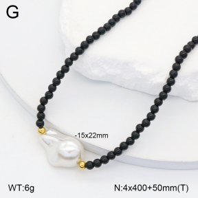 2N3002907aaki-712  Stainless Steel Necklace