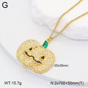 2N4004648vhhl-669  Stainless Steel Necklace