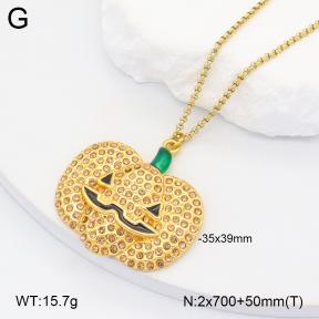 2N4004649vhhl-669  Stainless Steel Necklace