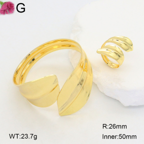 F2S006137aakl-J121  Fashion Copper Sets