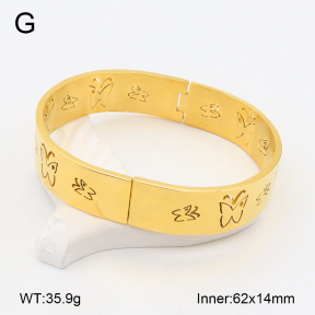 2BA202256vbpb-749  Stainless Steel Bangle