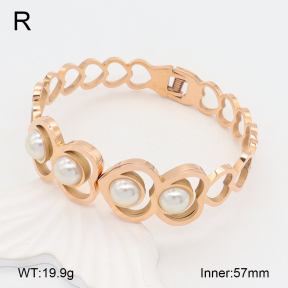 2BA300519bbov-749  Stainless Steel Bangle