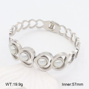 2BA300520vbnb-749  Stainless Steel Bangle