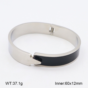 2BA402366vbnb-749  Stainless Steel Bangle