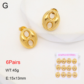 2E2006336aivb-436  Stainless Steel Earrings