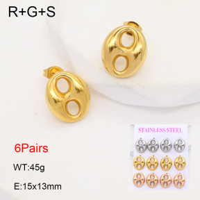 2E2006340aivb-436  Stainless Steel Earrings