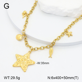 2N2007044vbpb-749  Stainless Steel Necklace