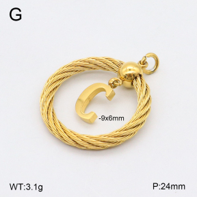 2P2004734aajo-351  Stainless Steel Pendant