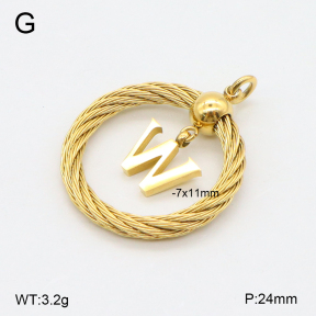 2P2004754aajo-351  Stainless Steel Pendant