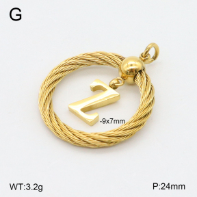 2P2004757aajo-351  Stainless Steel Pendant