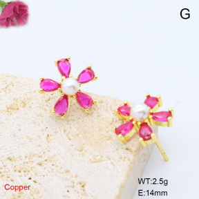 F6E405743ablb-L017  Fashion Copper Earrings