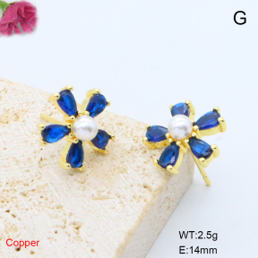 F6E405746ablb-L017  Fashion Copper Earrings