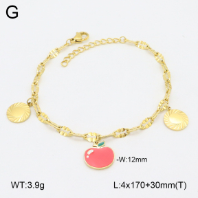 2B3004184ahjb-656  Stainless Steel Bracelet