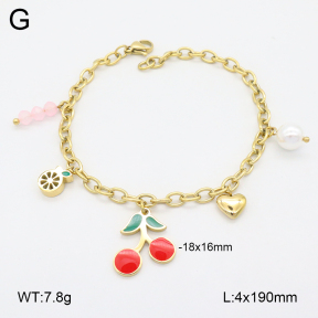 2B3004187ahjb-656  Stainless Steel Bracelet