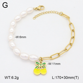 2B3004196bhil-656  Stainless Steel Bracelet