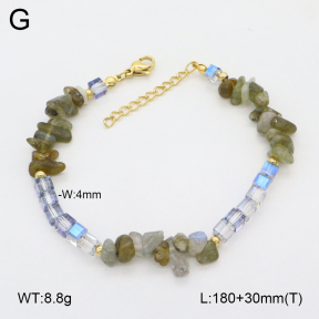 2B4005157ahjb-656  Stainless Steel Bracelet