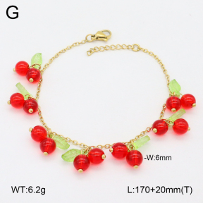 2B4005172vhha-656  Stainless Steel Bracelet