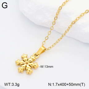 2N2006971ablb-418  Stainless Steel Necklace