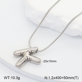 2N2007002ablb-418  Stainless Steel Necklace