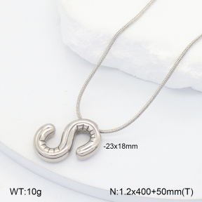 2N2007018ablb-418  Stainless Steel Necklace