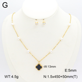 2S0011926vbnl-656  Stainless Steel Set