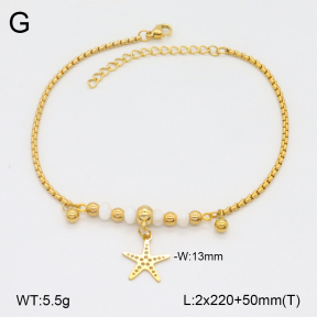 2A9001745ablb-350  Stainless Steel Anklets