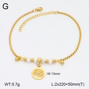 2A9001747ablb-350  Stainless Steel Anklets