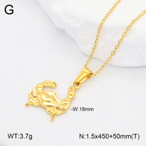 2N2007054bboo-769  Stainless Steel Necklace