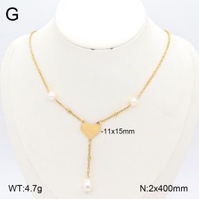2N3002949bbml-350  Stainless Steel Necklace