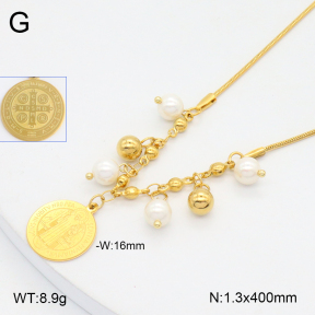 2N3002950bbov-350  Stainless Steel Necklace