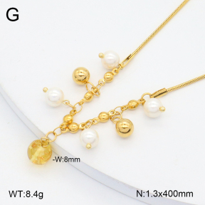 2N3002951bbov-350  Stainless Steel Necklace