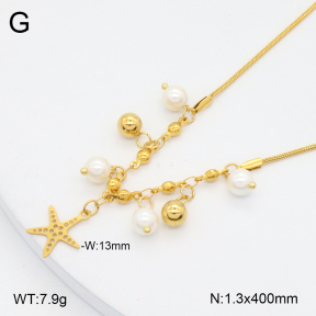 2N3002953bbov-350  Stainless Steel Necklace