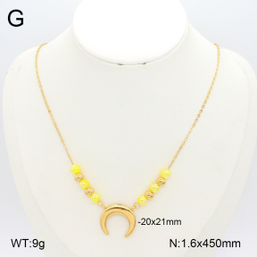 2N4004803vbnl-350  Stainless Steel Necklace