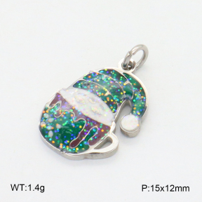 2P3000700aajl-769  Stainless Steel Pendant