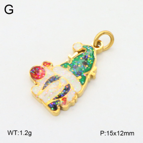 2P3000701baka-769  Stainless Steel Pendant