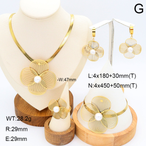 2S0012009aiov-371  Stainless Steel Set