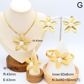 2S0012016aiov-371  Stainless Steel Set