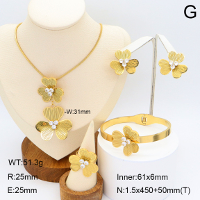 2S0012028aiov-371  Stainless Steel Set