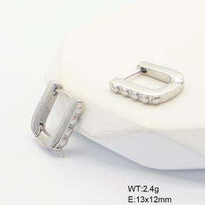 6E2007048bbpi-G034  316 SS,Handmade Polished  Stainless Steel Earrings