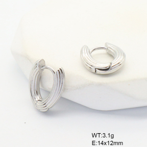 6E2007050bboo-G034  316 SS,Handmade Polished  Stainless Steel Earrings