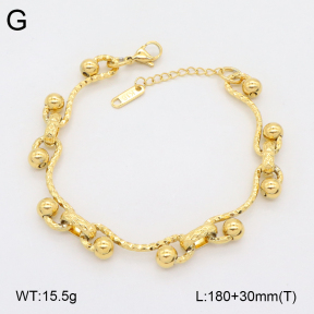 2B2004648vbpb-434  Stainless Steel Bracelet