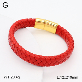 2BA000458vbpb-760  Stainless Steel Bangle