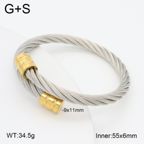 2BA202261vbnb-395  Stainless Steel Bangle