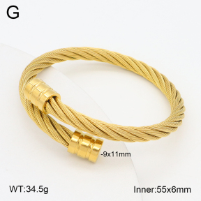 2BA202262vbnl-395  Stainless Steel Bangle