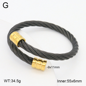 2BA202263vbnl-395  Stainless Steel Bangle