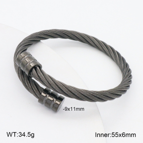 2BA202265vbnl-395  Stainless Steel Bangle