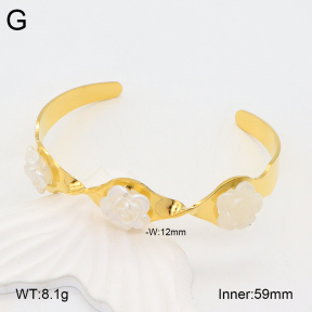 2BA300525bhbl-434  Stainless Steel Bangle