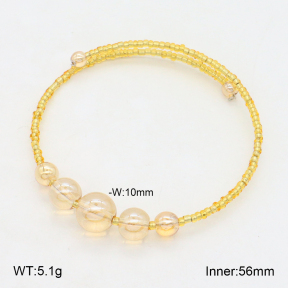 2BA402375bbov-658  Stainless Steel Bangle