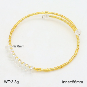 2BA402379bbov-658  Stainless Steel Bangle