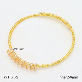 2BA402380bbov-658  Stainless Steel Bangle